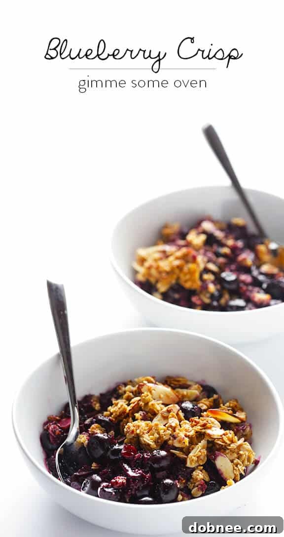 Easy Blueberry Crisp -- this fresh dessert is quick and easy to make, naturally gluten-free and vegan, and absolutely irresistible! | gimmesomeoven.com