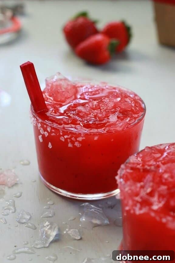 Rhubarb Strawberry Margarita Recipe from Stir & Scribble