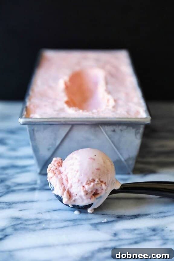 Rich Fresh Strawberry Ice Cream Recipe by Broma Bakery