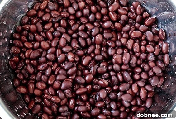 Quick and Easy Black Bean Hummus Dip Black Bean Hummus served in a bowl with tortilla chips and fresh vegetables on the side