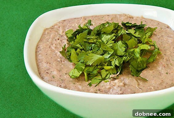 Delicious Black Bean Hummus for Snacks and Meals Detailed shot of creamy Black Bean Hummus with a swirl and fresh cilantro