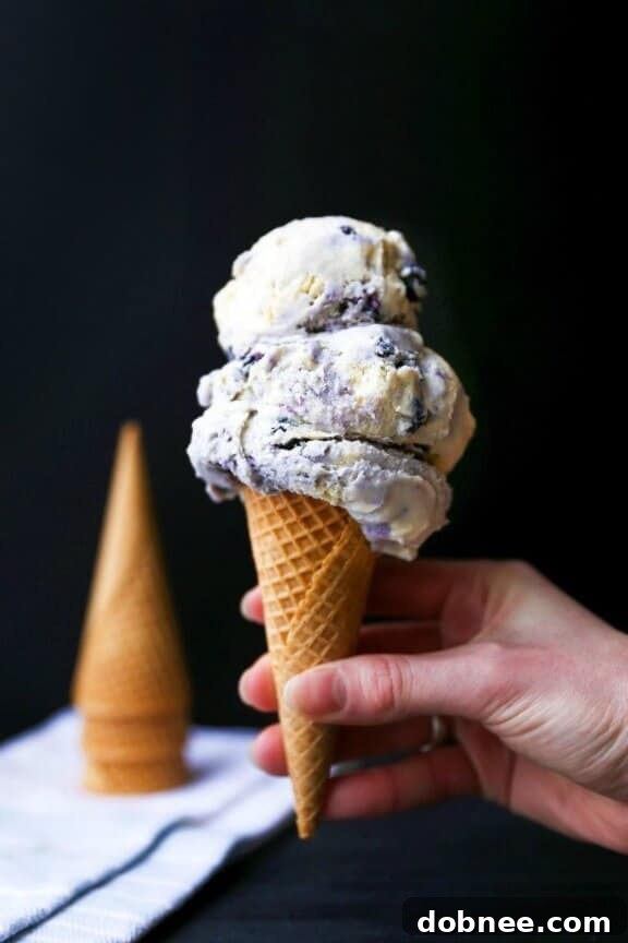 Delicious Blueberry Pancake Ice Cream