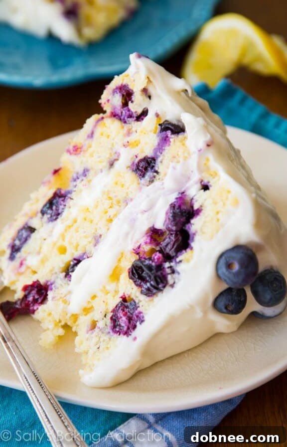 Elegant Lemon Blueberry Layer Cake with frosting