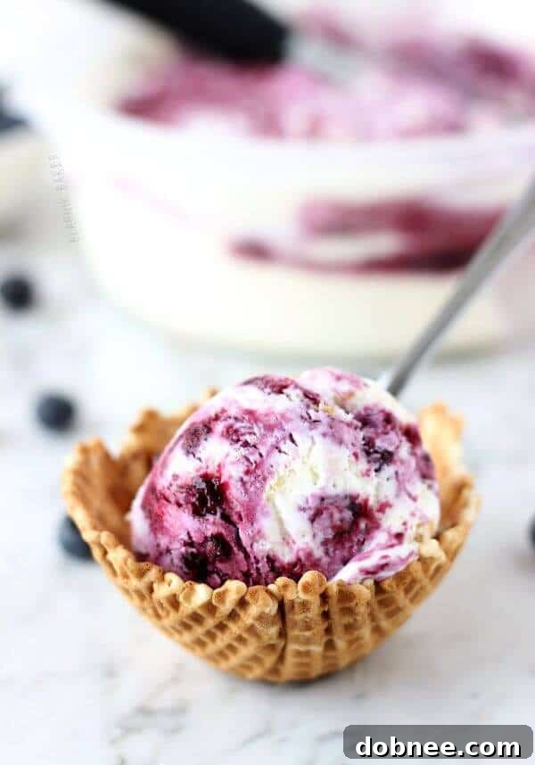 Creamy Blueberry Cheesecake Ice Cream