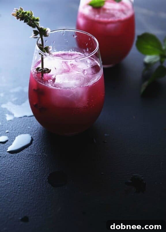 Refreshing Blueberry Basil Vodka Gimlet cocktail