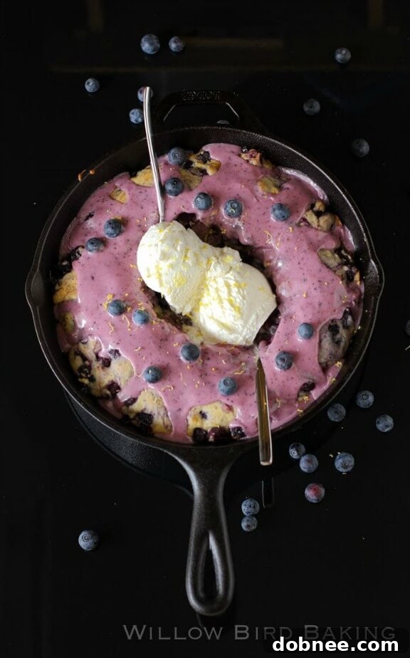Warm Hot Blueberry Cake with melting vanilla ice cream