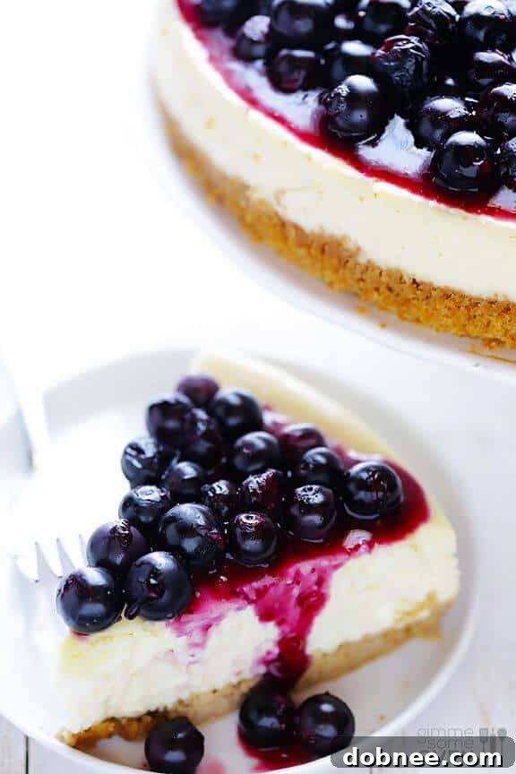 Lighter Blueberry Cheesecake, a healthy dessert option