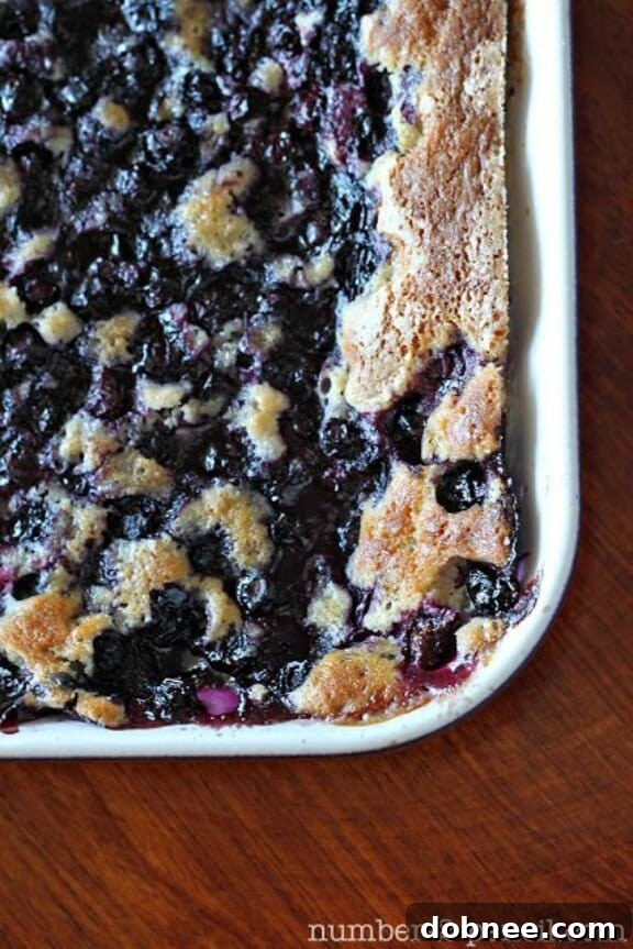 Grandma Bea's Blueberry Cobbler Recipe from No. 2 Pencil