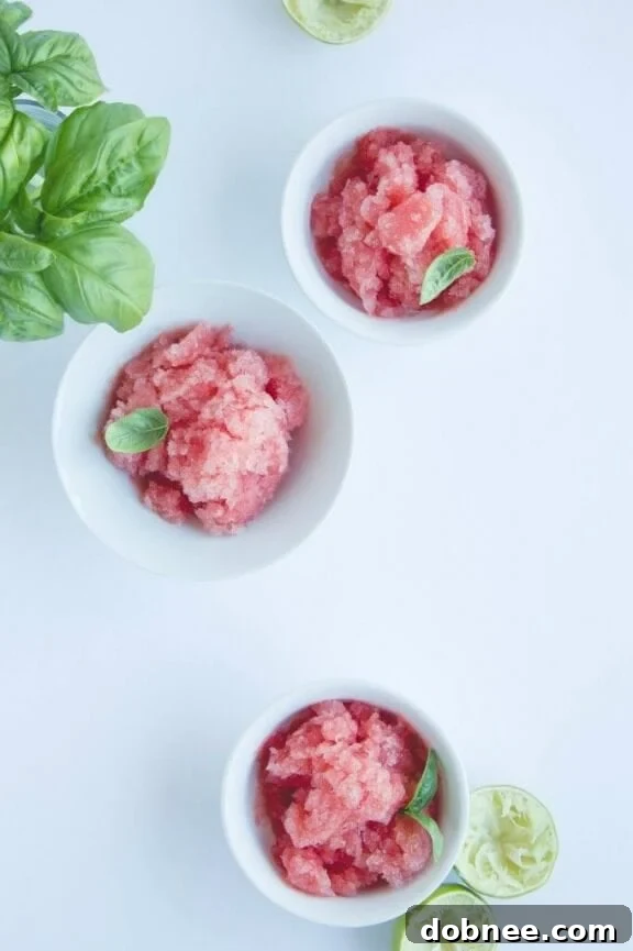 15 Refreshing Watermelon Creations 17 Salted Watermelon, Tequila & Basil Granita | pinkpatisserie.net