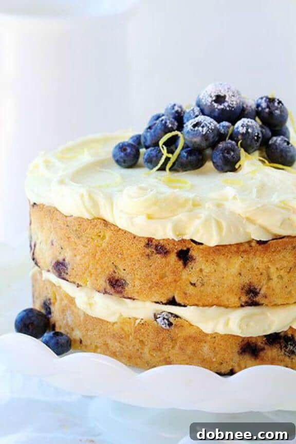 Blueberry Zucchini Cake with Lemon - a delightful dessert