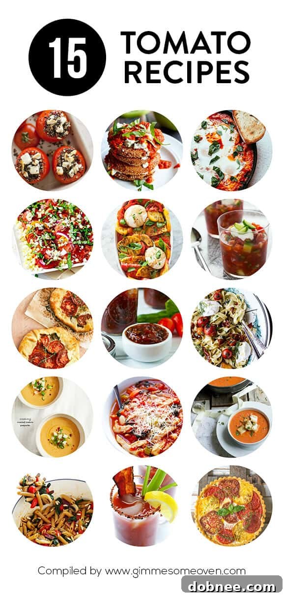 Savoring Summer's Bounty: A Delicious Collection of 15 Fresh Tomato Recipes