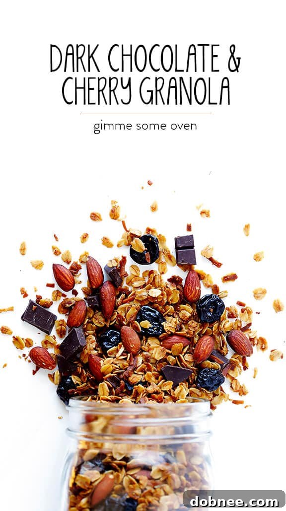 A final close-up image of the irresistible Dark Chocolate Cherry Granola.