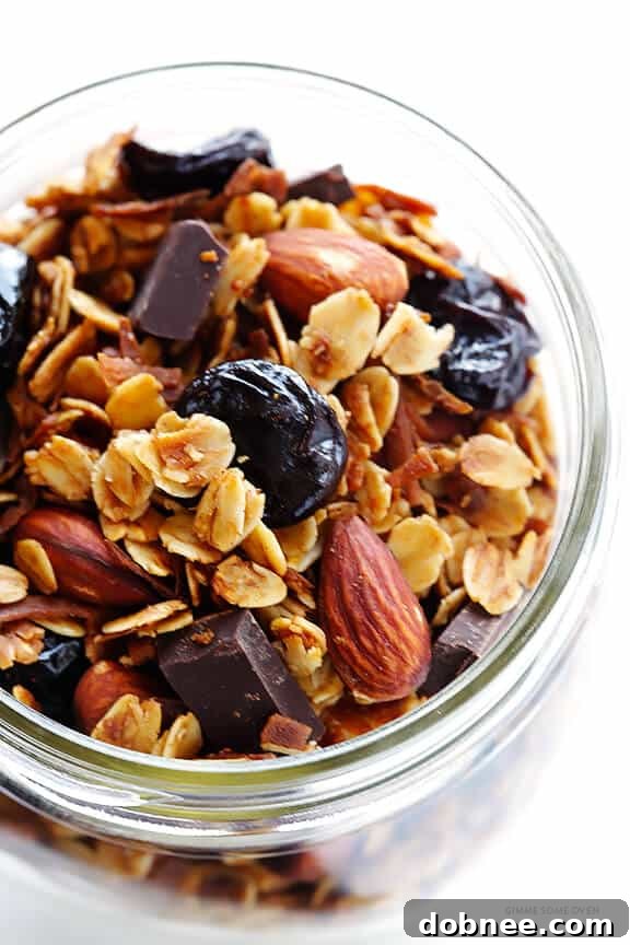 A serving of Dark Chocolate Cherry Granola in a bowl, ready to eat.