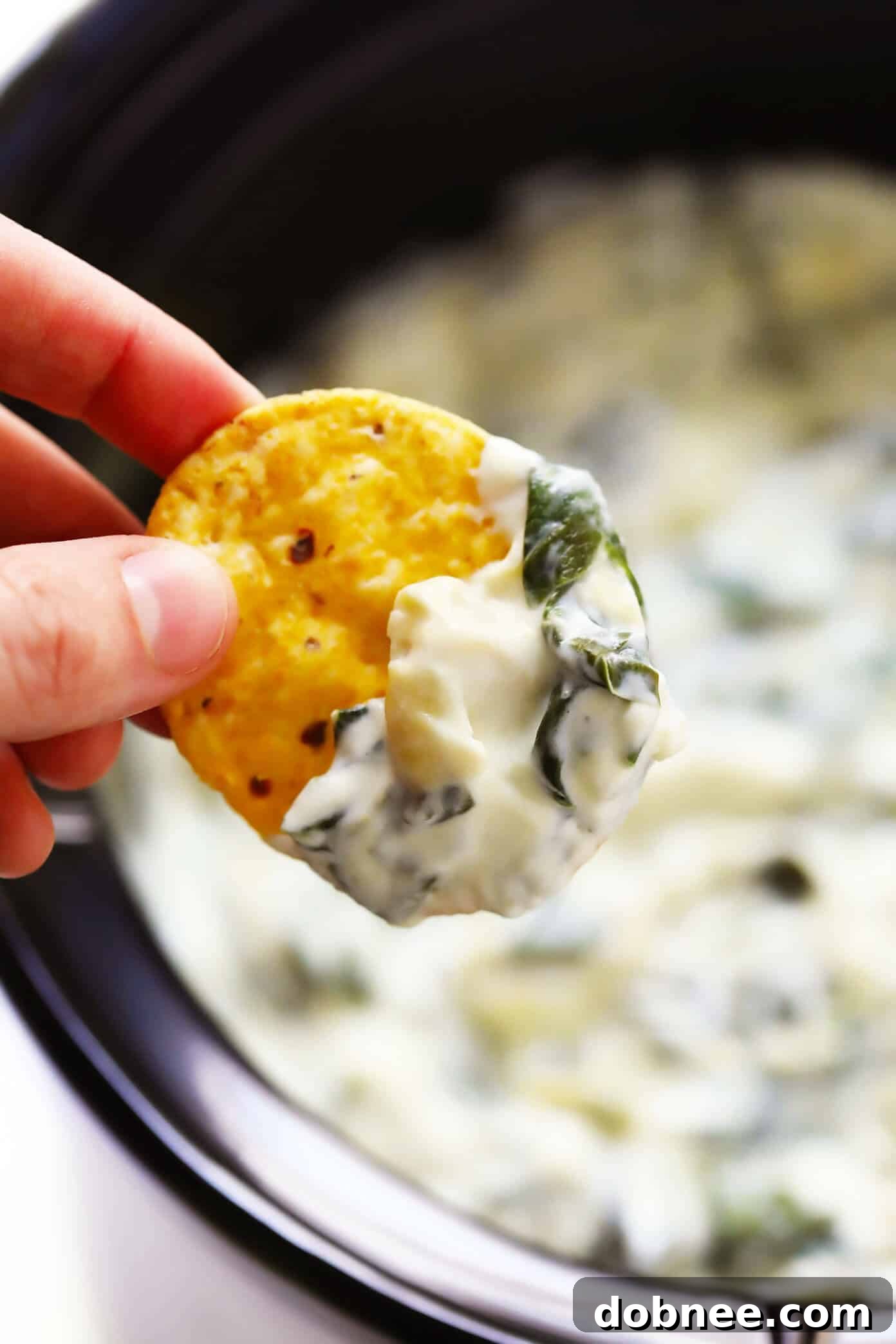 Easy Spinach Artichoke Dip Recipe - A spoonful of dip showcasing its creamy texture.