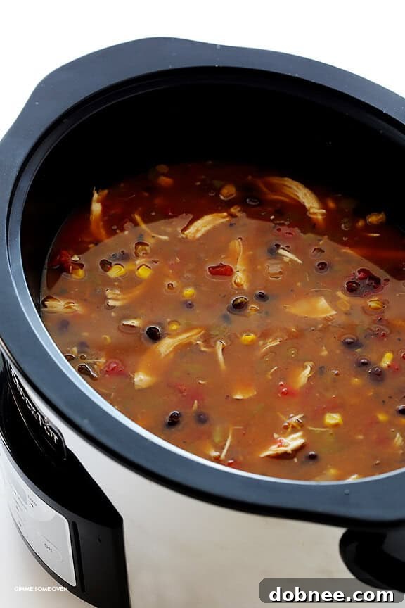 Serving up a bowl of fresh Slow Cooker Chicken Tortilla Soup