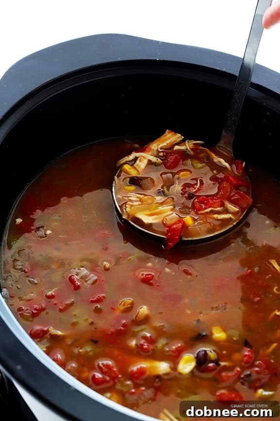 Ladle of Slow Cooker Chicken Tortilla Soup, ready to serve
