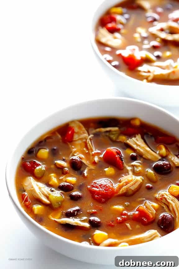 Pouring Slow Cooker Chicken Tortilla Soup into a bowl