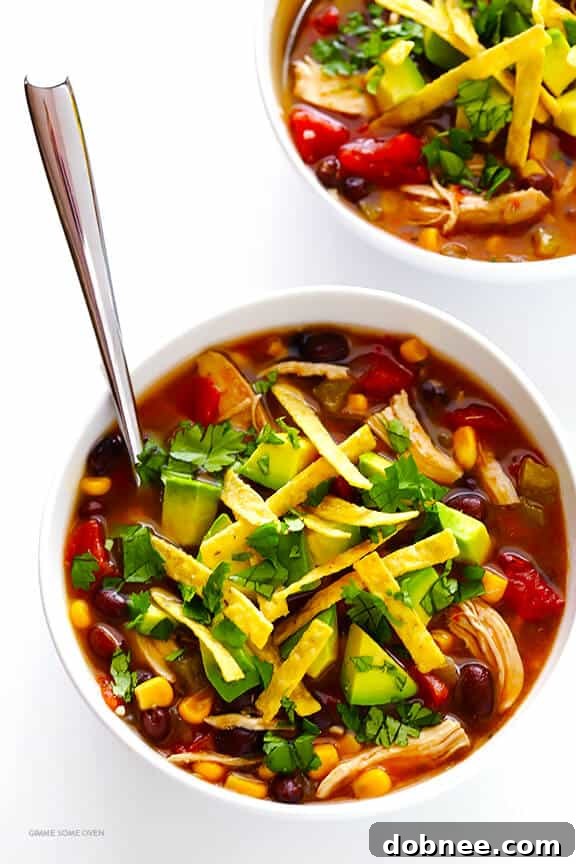 Finished Slow Cooker Chicken Tortilla Soup, ready to be enjoyed
