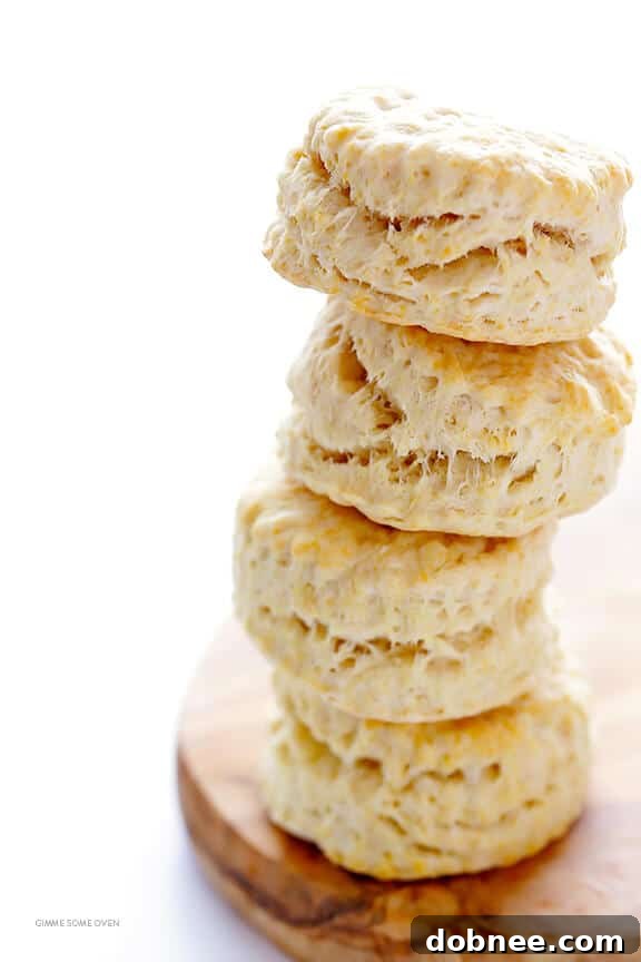 Easy Serving Ideas for Chicken Pot Pie Soup: Biscuits or Oyster Crackers | dobnee.com