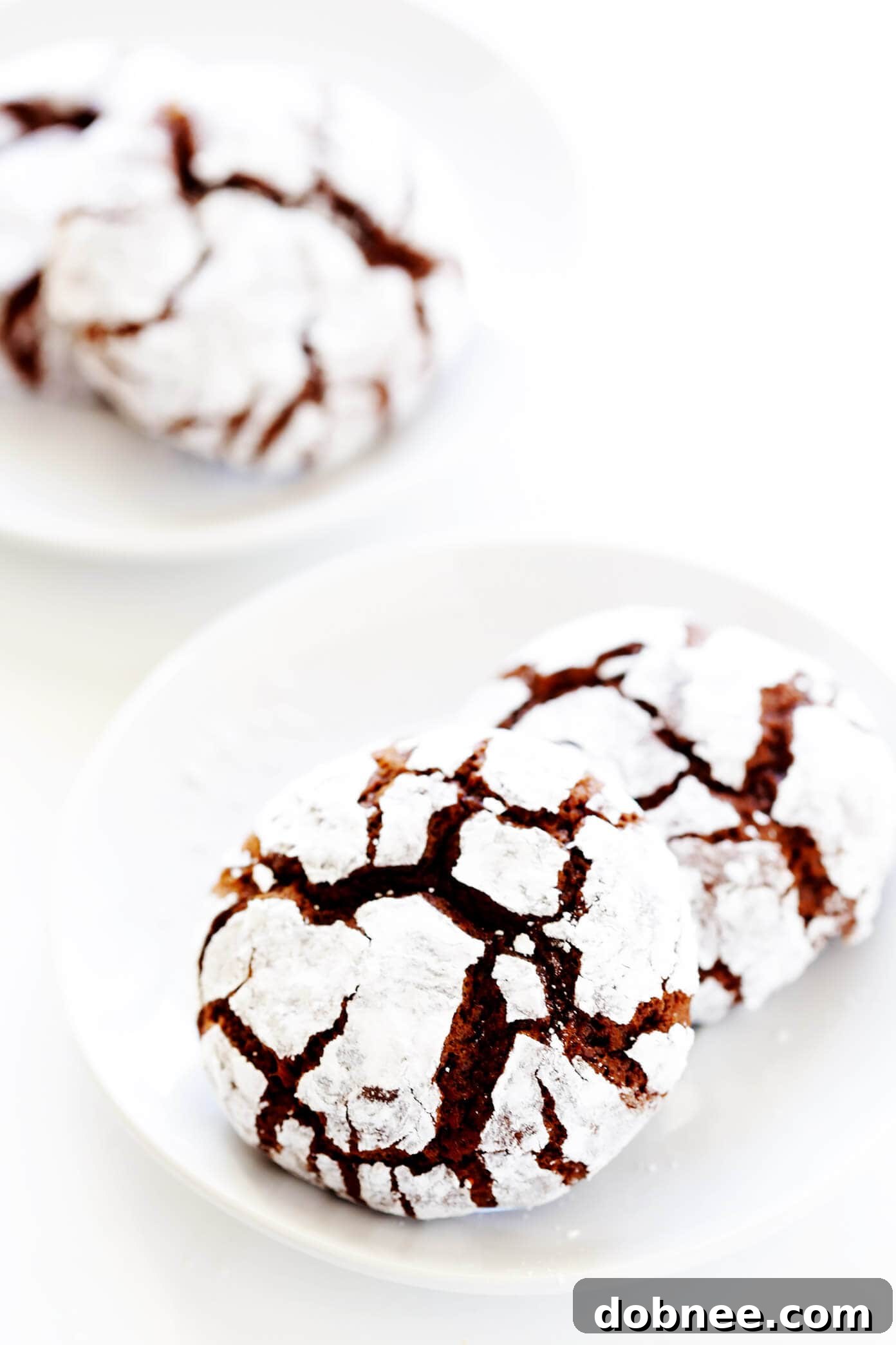 Chocolate Crinkle Cookies on Plates