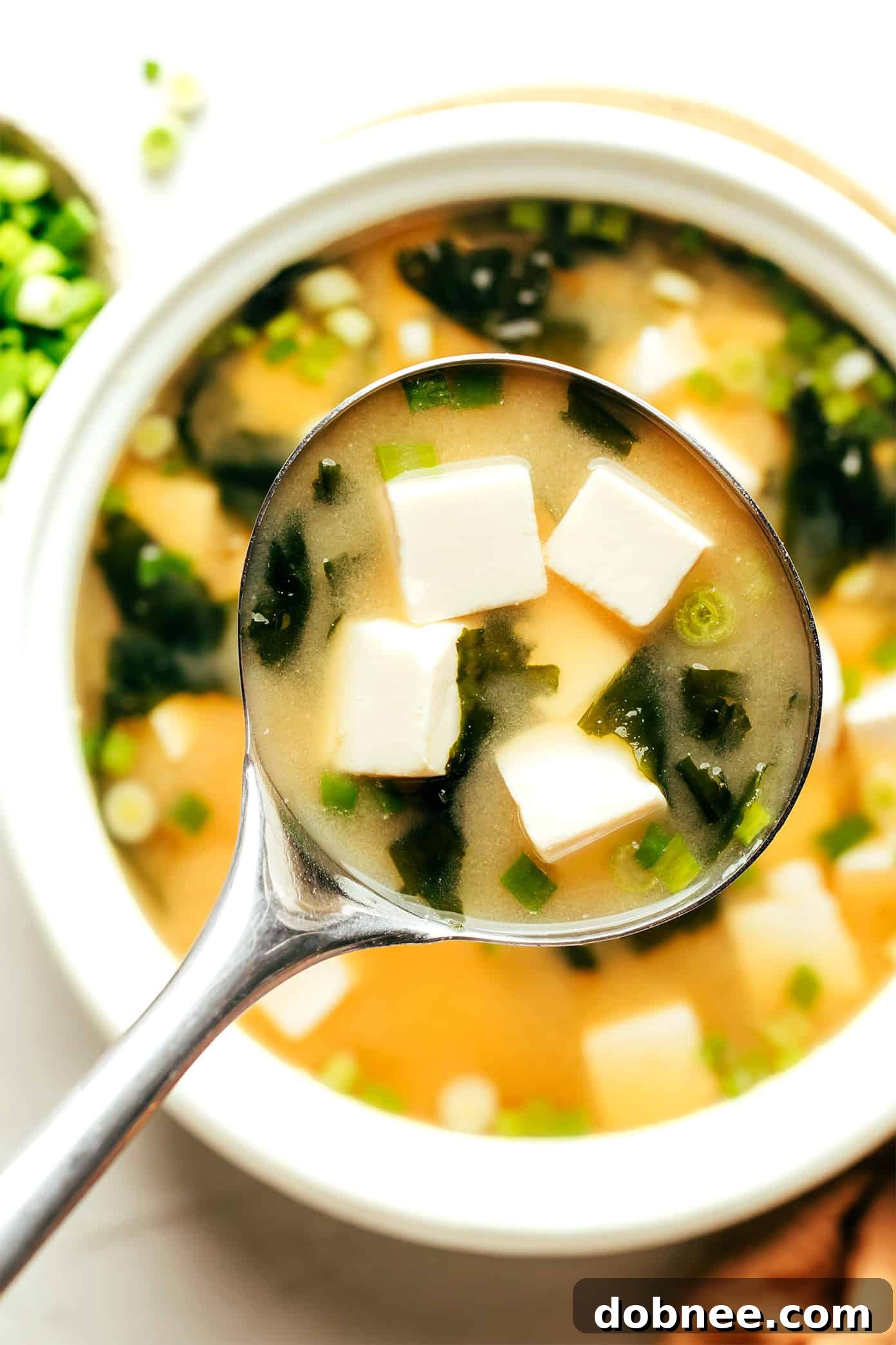 Ladle of miso soup
