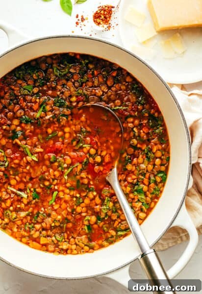 Italian Lentil Soup