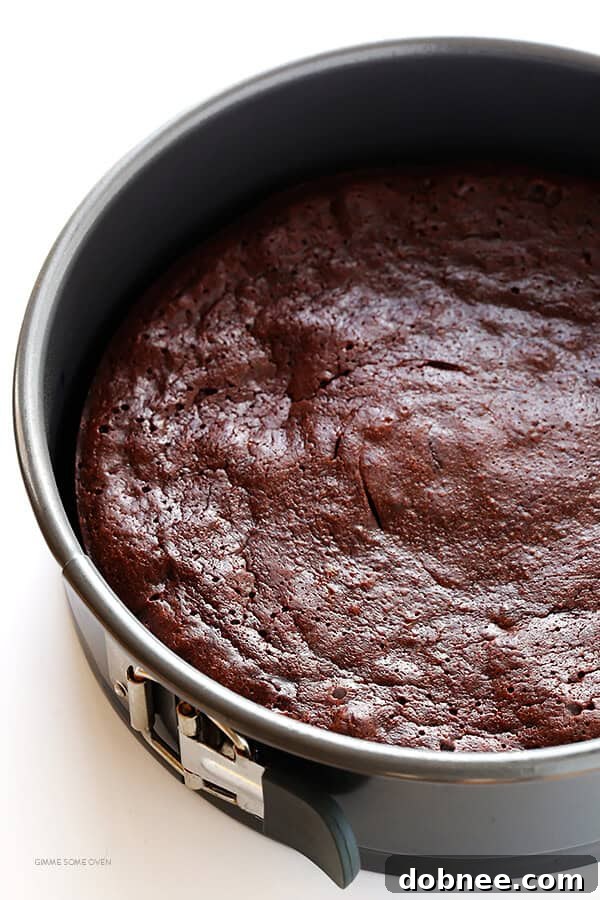 Close-up of Peanut Butter Flourless Chocolate Cake showing the rich, dense texture and creamy swirl topping, emphasizing its decadent appeal.