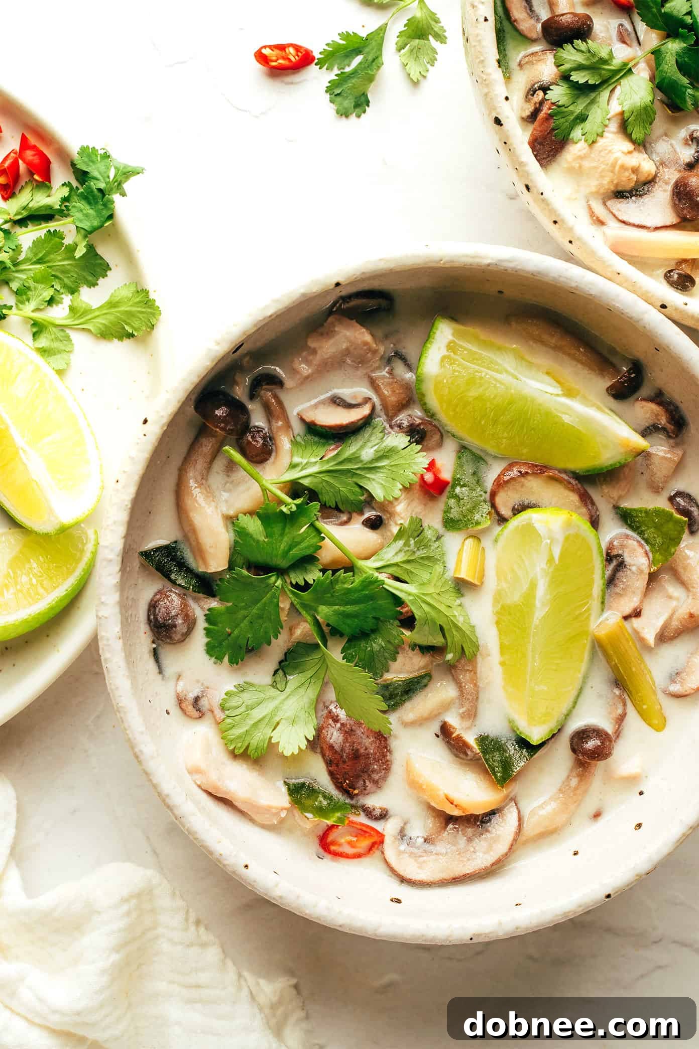 Authentic Tom Kha Gai - Thai Coconut Chicken Soup