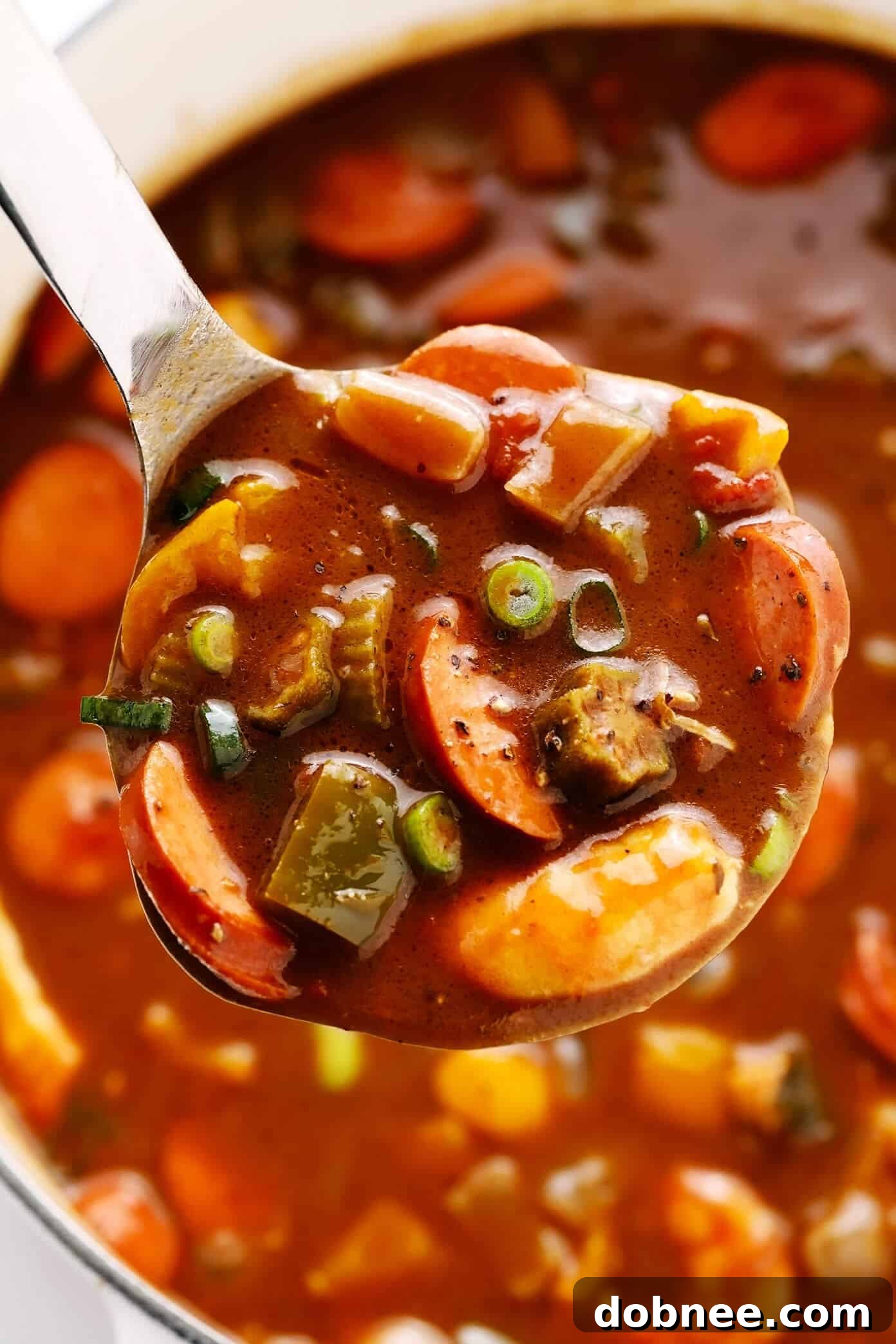 Ladle full of vibrant Sausage, Shrimp and Chicken Gumbo, showcasing its rich texture and colorful ingredients.