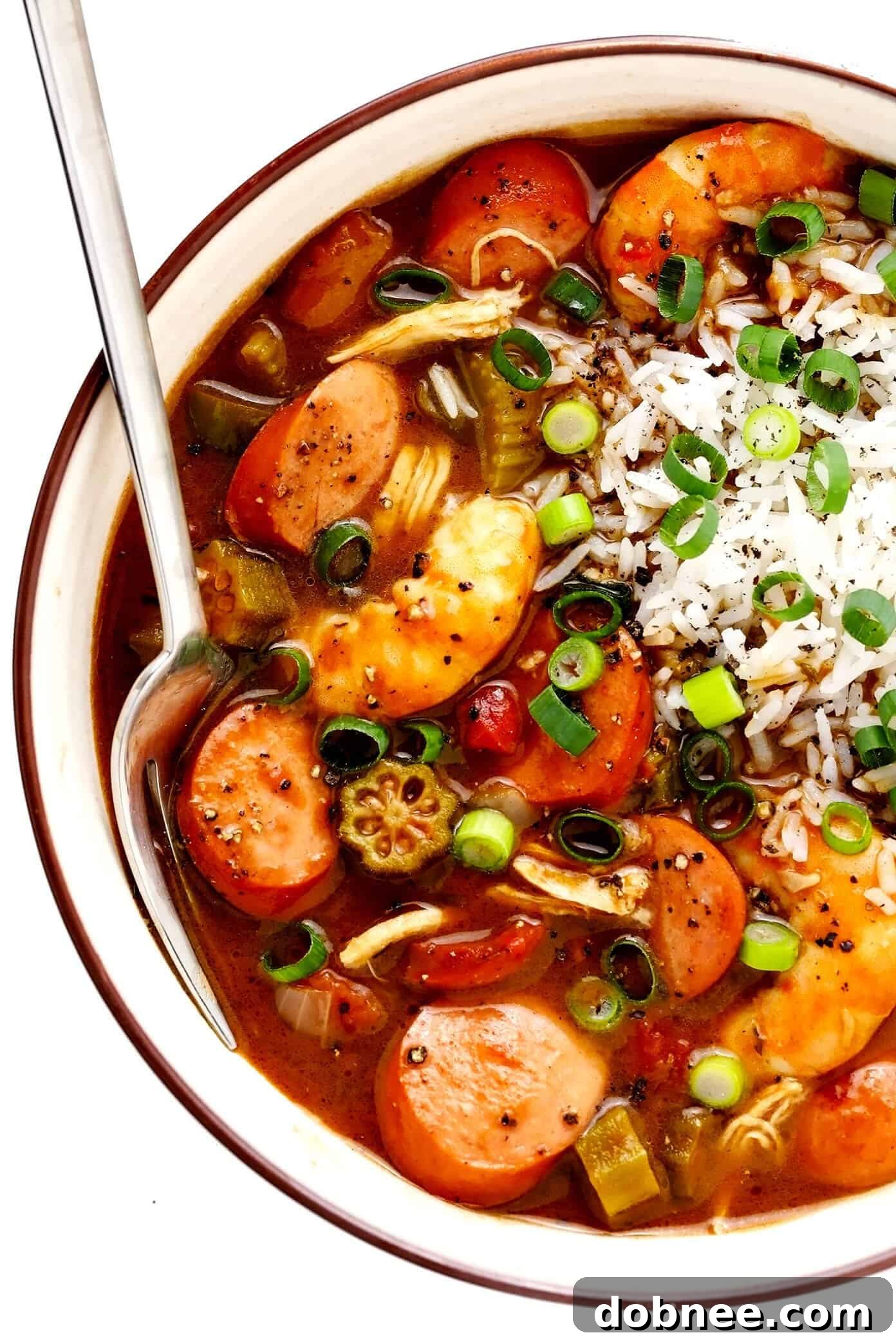A beautifully presented bowl of Gumbo featuring Andouille Sausage, tender Chicken, and succulent Shrimp, garnished with fresh green onions.