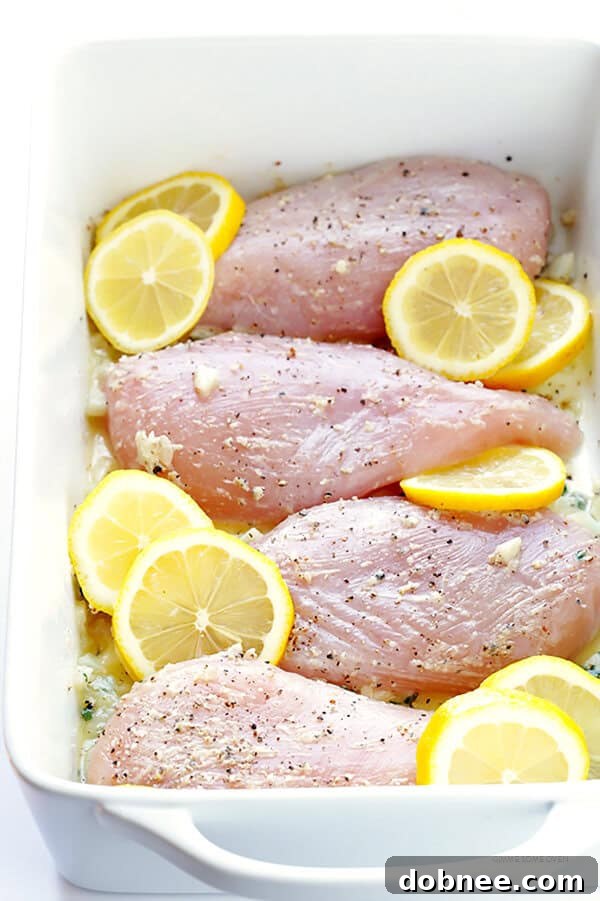 Zesty Lemon Roasted Chicken 5 Lemon slices arranged around raw chicken breasts in a baking dish