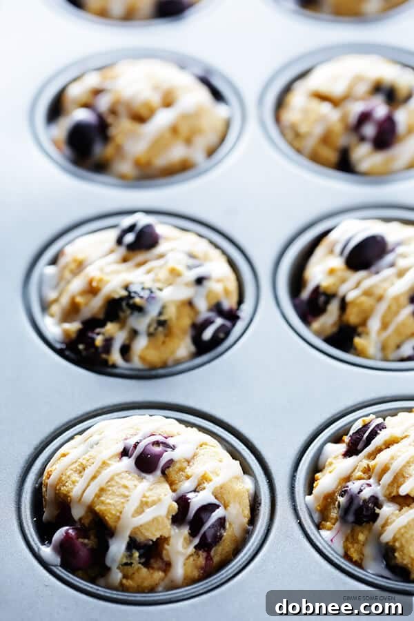 Fluffy and moist Healthier Blueberry Muffins, perfect for a guilt-free breakfast. Made with whole wheat flour and natural sweeteners.