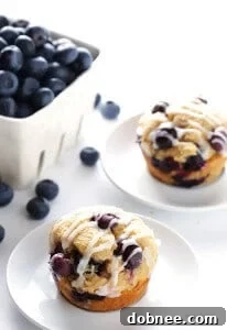 Healthier Blueberry Muffins recipe card image