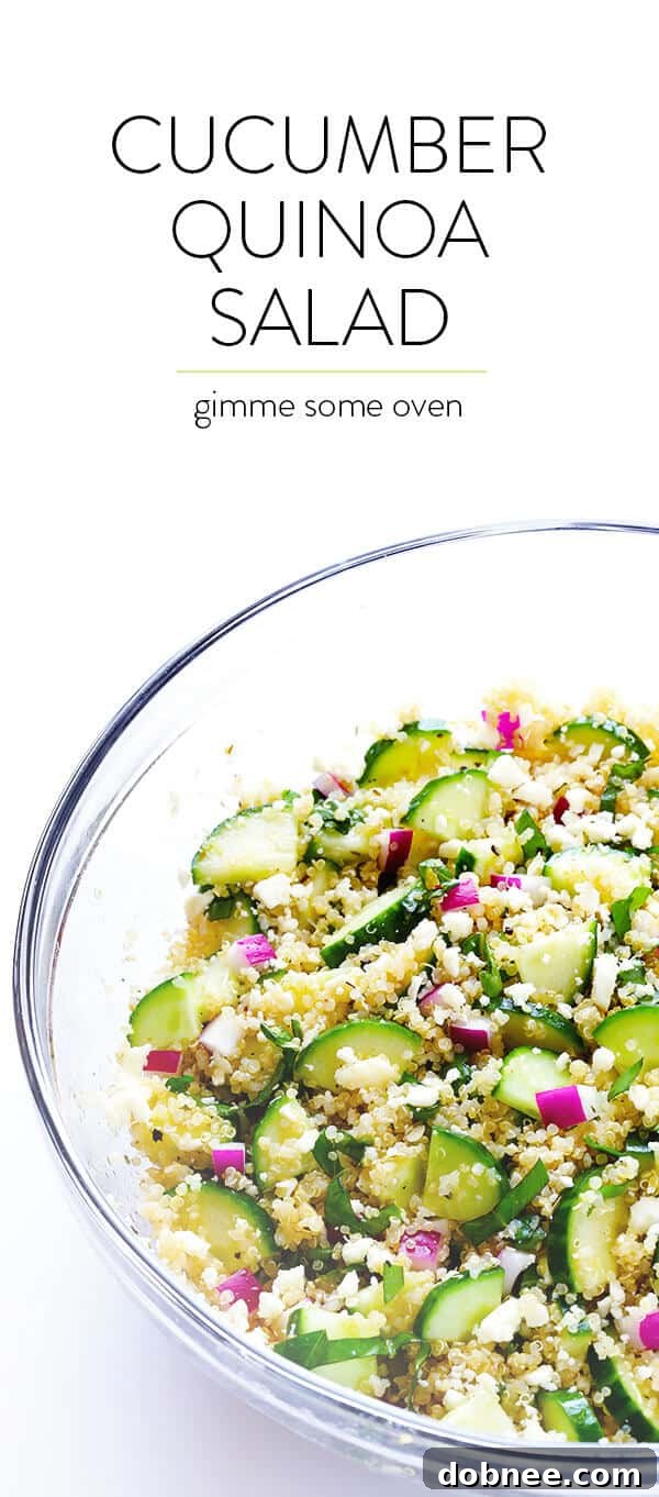 A beautifully plated Cucumber Quinoa Salad, showcasing its fresh ingredients and vibrant colors, ready to be enjoyed as a healthy and delicious meal.