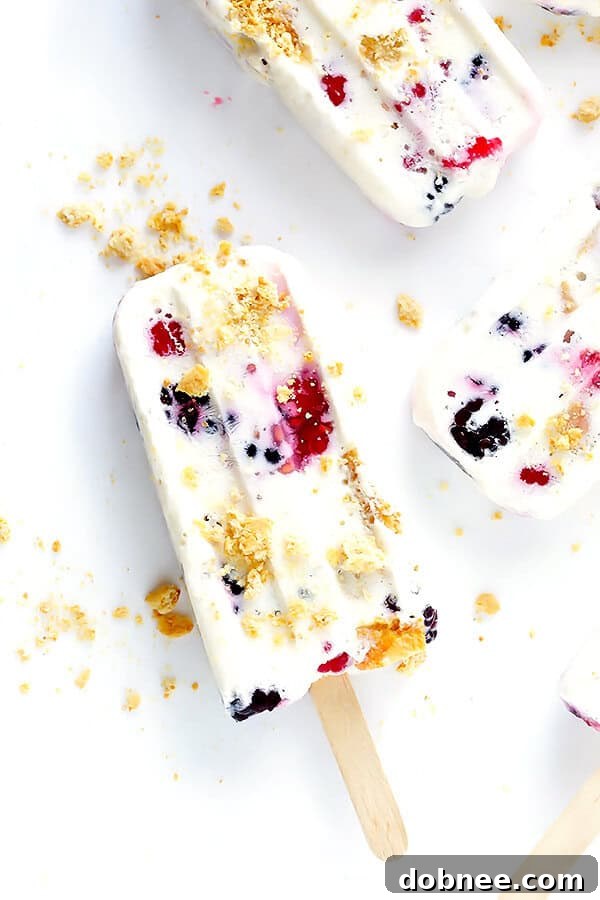 These Berry Cheesecake Popsicles are quick and easy to prep, they're chocked full of fresh berries and graham crackers, and they really do taste like cheesecake! | gimmesomeoven.com