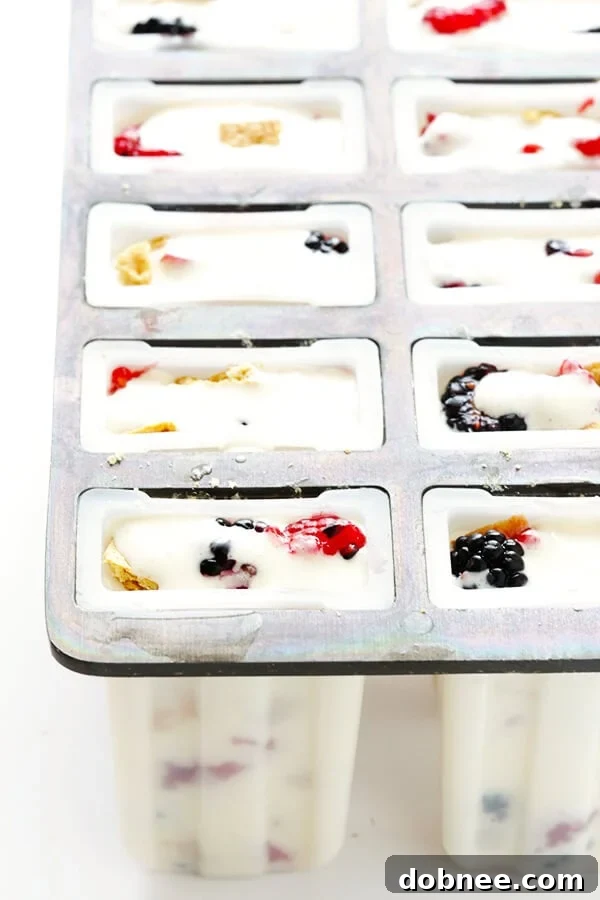 These Berry Cheesecake Popsicles are quick and easy to prep, they're chocked full of fresh berries and graham crackers, and they really do taste like cheesecake! | gimmesomeoven.com