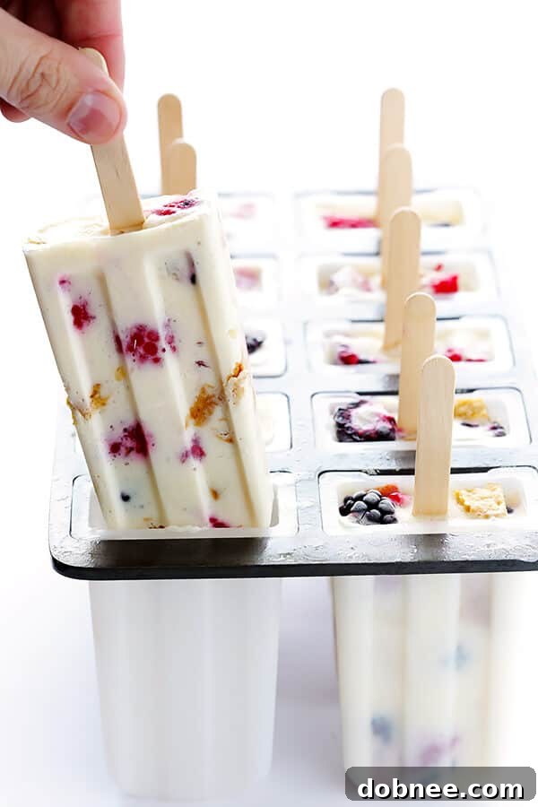 These Berry Cheesecake Popsicles are quick and easy to prep, they're chocked full of fresh berries and graham crackers, and they really do taste like cheesecake! | gimmesomeoven.com