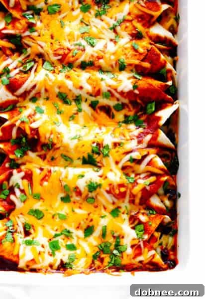 Chicken Enchiladas