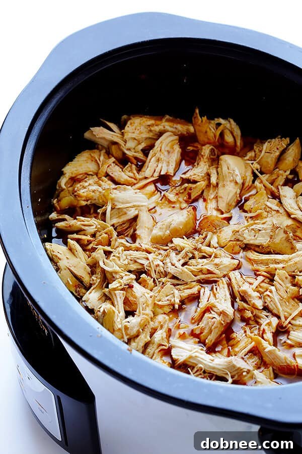 These Slow Cooker Crispy Chicken Carnitas are made easy by simmering for hours in the crock pot, then they're briefly crisped up in the broiler, resulting in tender, crispy, juicy, and absolutely DELICIOUS chicken carnitas. Perfect for tacos, burritos, or whatever sounds good! | gimmesomeoven.com