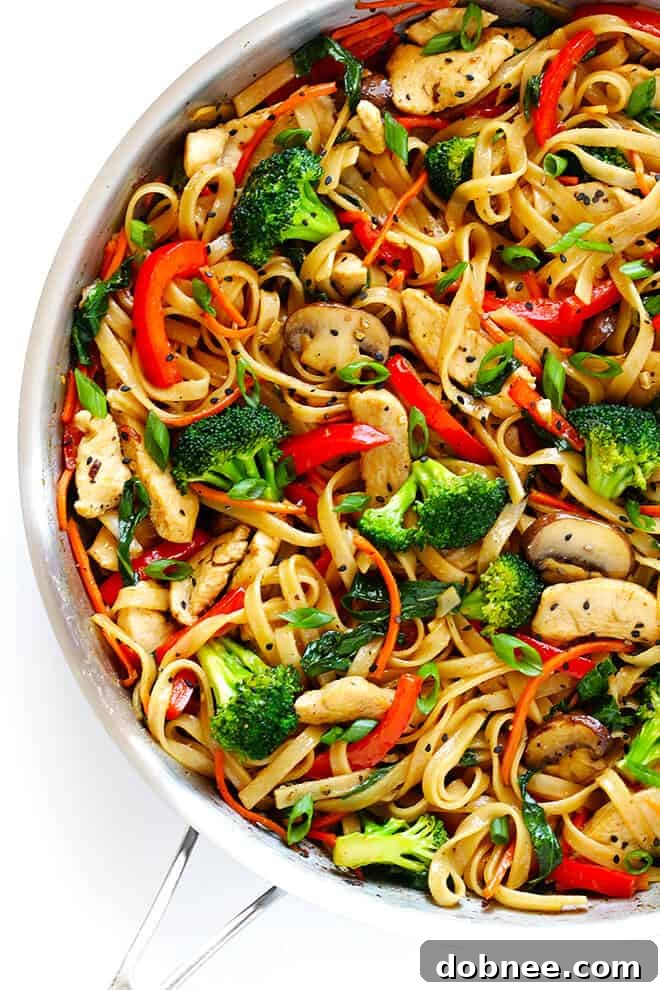 Sesame Chicken Noodle Stir-Fry Ready for Garnish