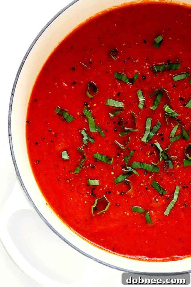Rich, flavorful 20-Minute Tomato Soup, perfect for a quick and comforting meal, made with fire-roasted tomatoes and fresh basil. Vegan, Vegetarian, and Gluten-Free options available.