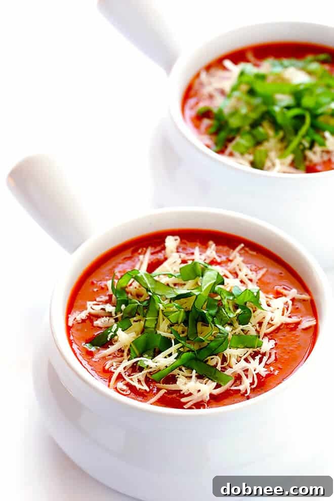 Close-up of a vibrant bowl of 20-Minute Tomato Soup, garnished with fresh basil, showcasing its rich texture and inviting color. A perfect, speedy weeknight dinner.