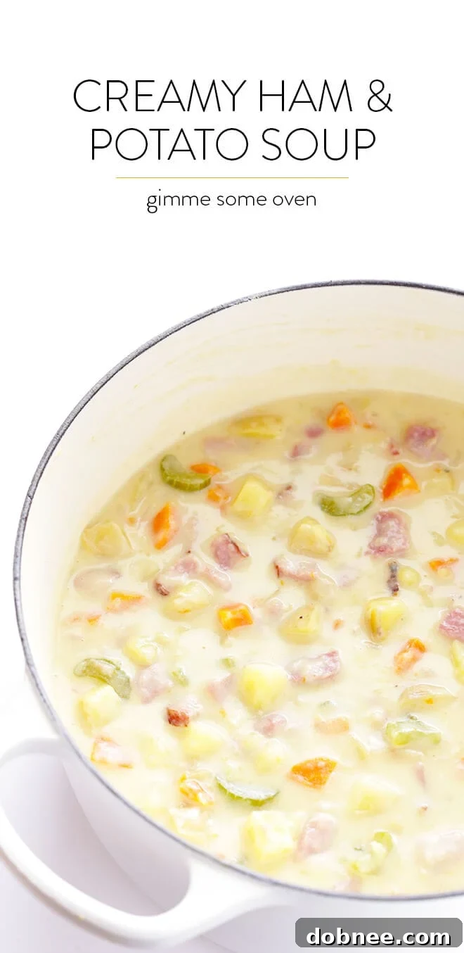 The final, inviting presentation of the creamy ham and potato soup in a rustic bowl.