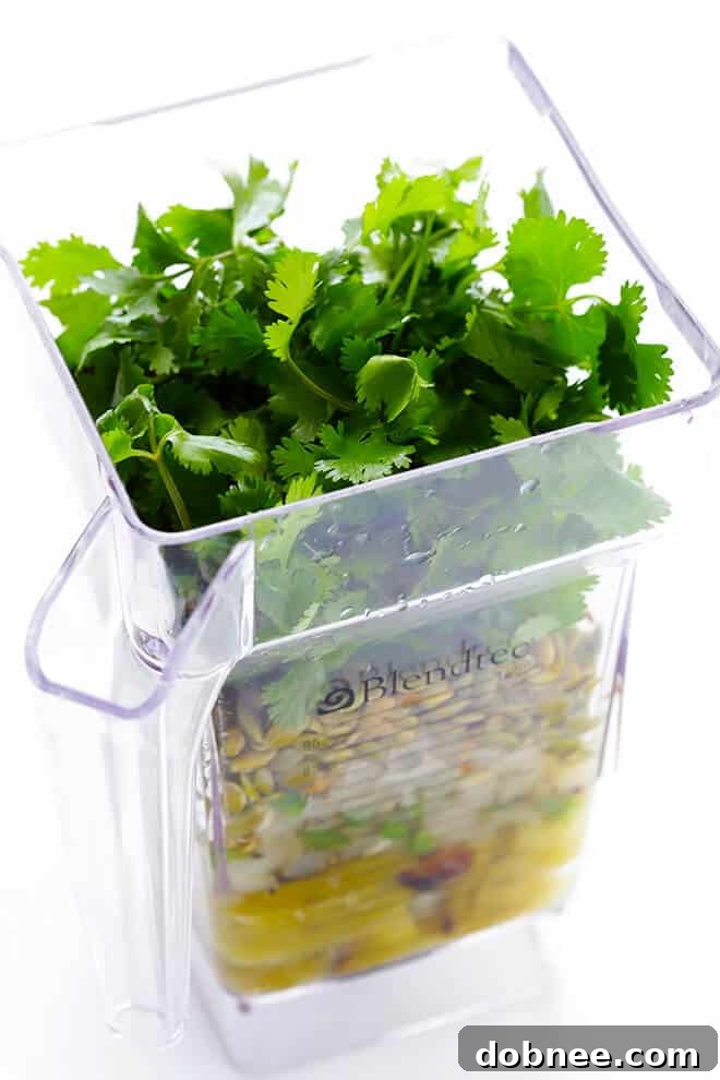 Chicken with Pumpkin Seed Sauce -- made with a yummy pepitas-tomatillo dipping sauce that is easy to make and full of the BEST flavors! | gimmesomeoven.com