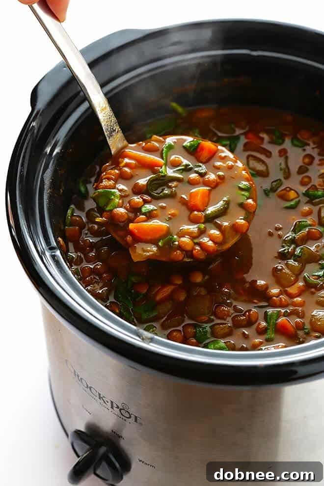 Enjoy a bowl of warm, aromatic Slow Cooker Curried Lentil Soup, topped with fresh cilantro and a squeeze of lemon – a perfect healthy and flavorful meal.