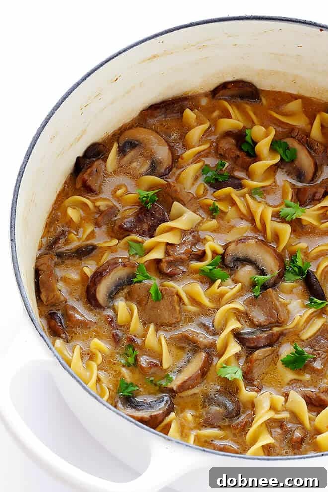 Rich and creamy Beef Stroganoff Soup with tender beef and noodles, perfect for a cozy dinner.