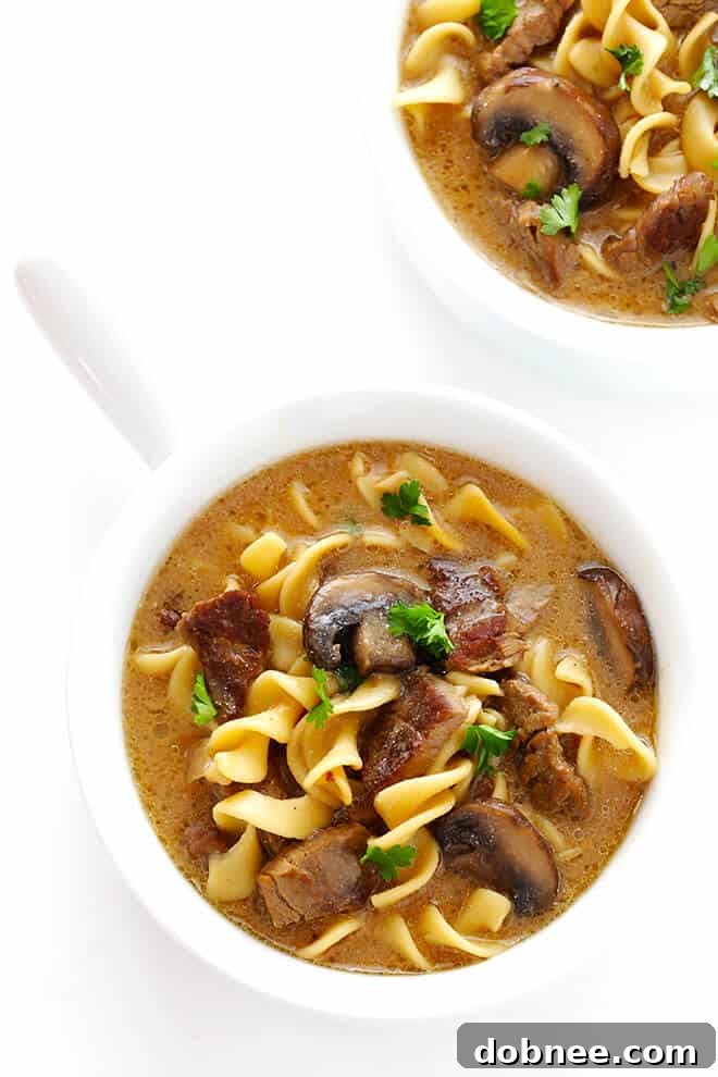 Close-up of Beef Stroganoff Soup simmering in a pot, showcasing the rich broth, tender beef, and mushrooms.