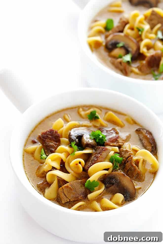 A close-up shot of a steaming bowl of Beef Stroganoff Soup, showcasing the tender beef, rich broth, and perfectly cooked noodles.
