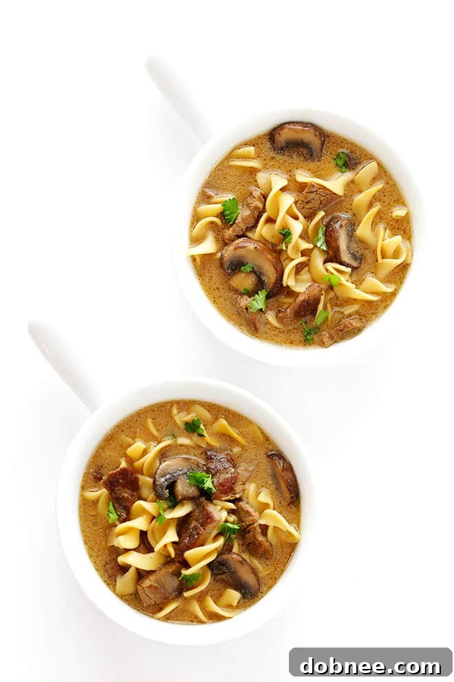 A full pot of delicious Beef Stroganoff Soup, ready to be served, highlighting the richness and hearty ingredients.