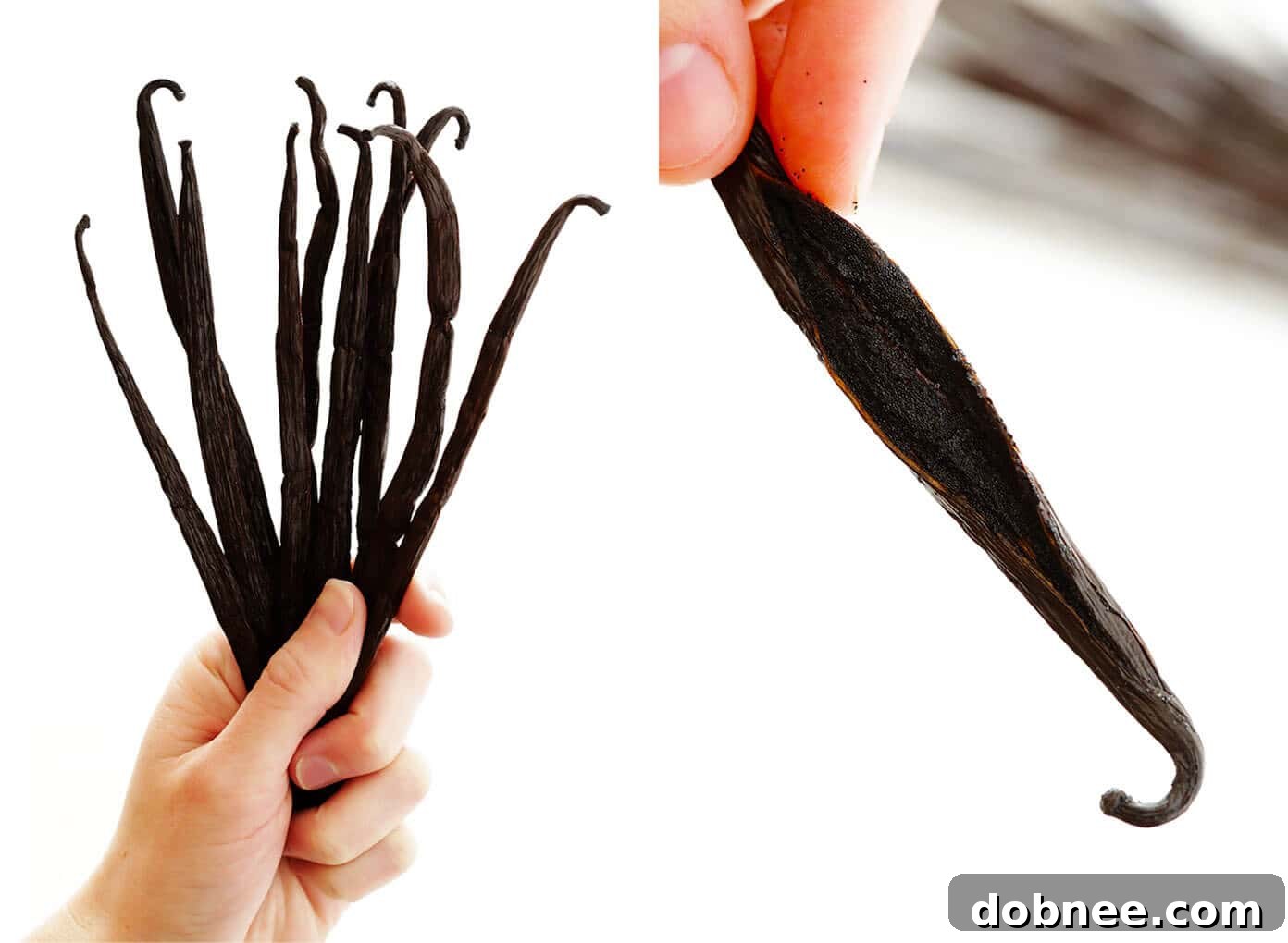 The Art of Homemade Vanilla 3 Type B Vanilla Beans ideal for homemade vanilla extract